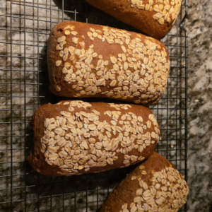 🥖✨Brown Bread or Honey Wheat Bushman Bread (4-pack)