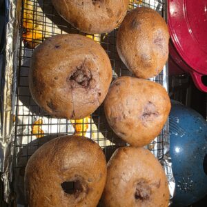 🥯🔥Cranberry Jalapeño Sourdough Bagels (6‑Pack)