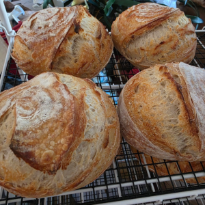 Artisan Signature Sourdough Loaf