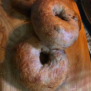 Sourdough Bagels - Plain  (6-pack)