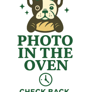 🥓🧀 Bacon & Cheddar Sourdough Loaf